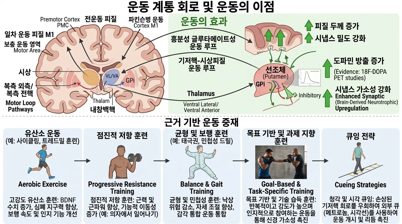 운동과 재활의 운동 시스템 신경과학